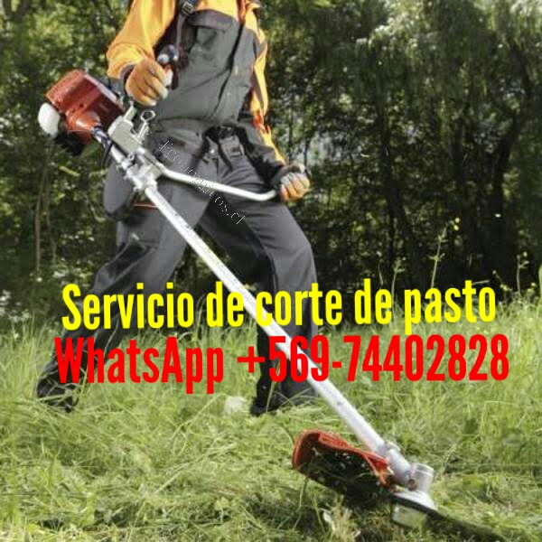 desbroze de parcelas