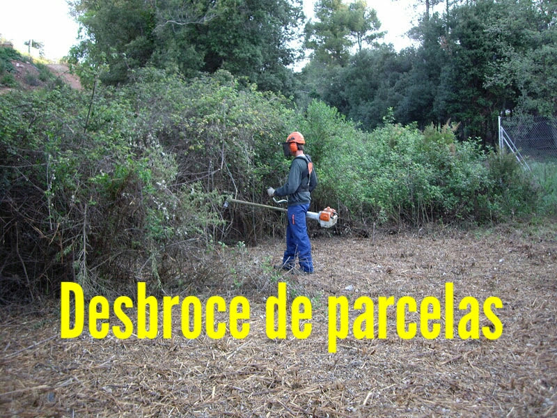 limpieza de parcelas